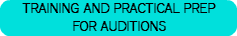 TRAINING AND PRACTICAL PREP FOR AUDITIONS